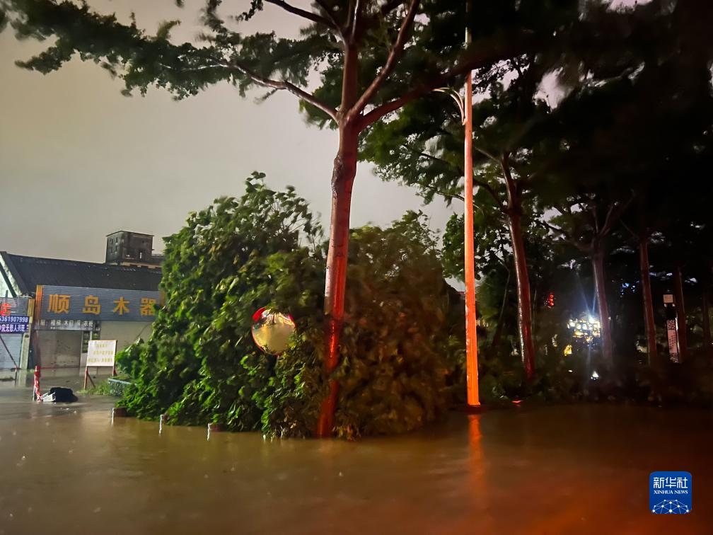 7月17日晚，在廣東湛江海濱大道北，路邊的樹木被風刮倒（手機照片）。新華社記者 鄧華 攝